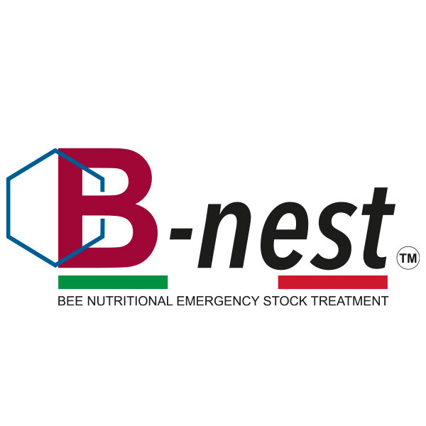 B-Nest-candito-api