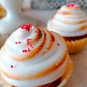 mousse-bavaresi-semifreddi-mery